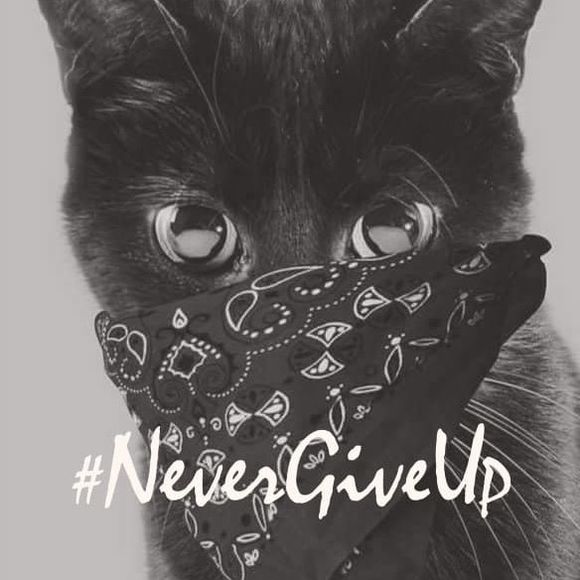 Meet your Posher, Lenora - Picture 1 of 1